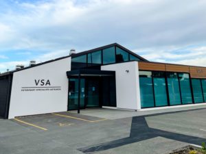 VSA Christchurch - specialist animal hospital in the south island