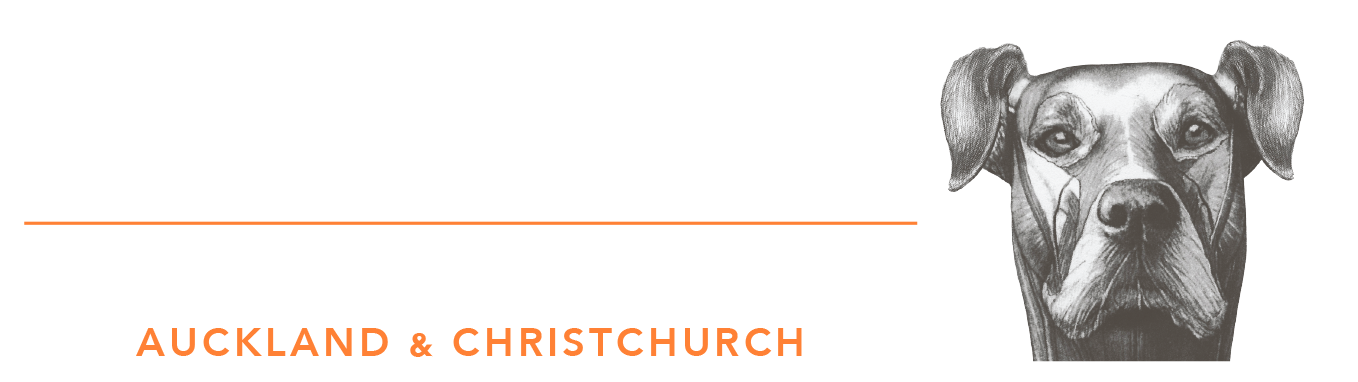 After Hours Vet - Accident & Emergency | Veterinary Specialists Aotearoa