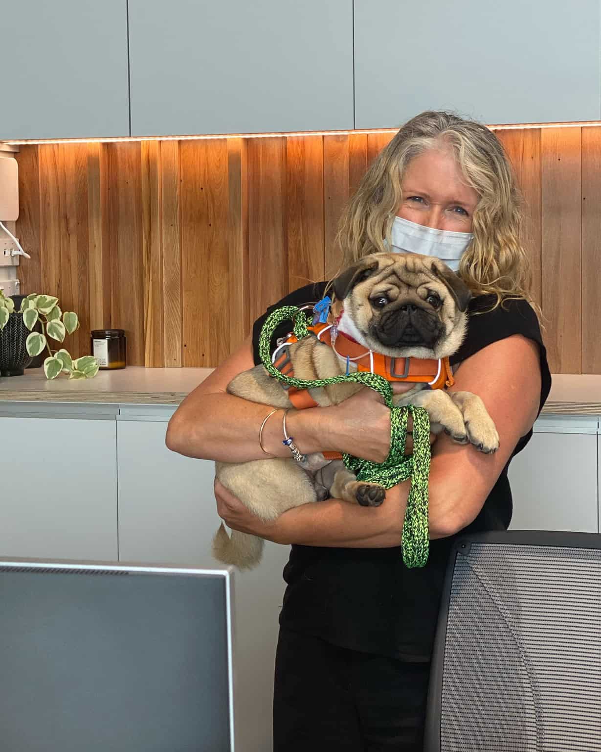 Diverse Careers in a specialist animal hospital Veterinary