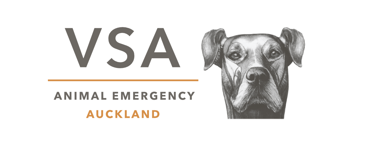 Animal Emergency at VSA Logo