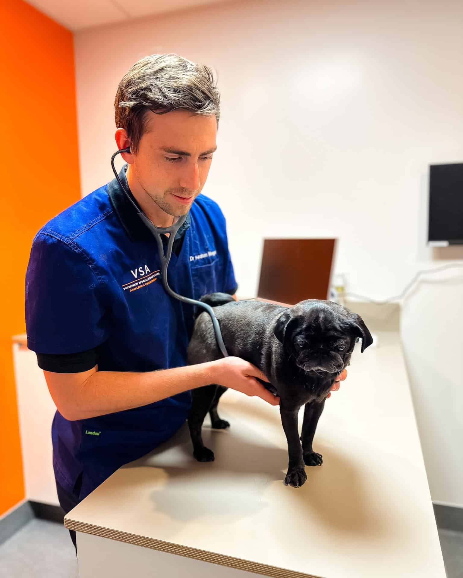 Dr Keaton Morgan, Specialist in Small Animal Cardiology at VSA