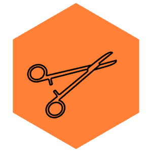 VSA Veterinary Specialists Aotearoa - Veterinary Surgery