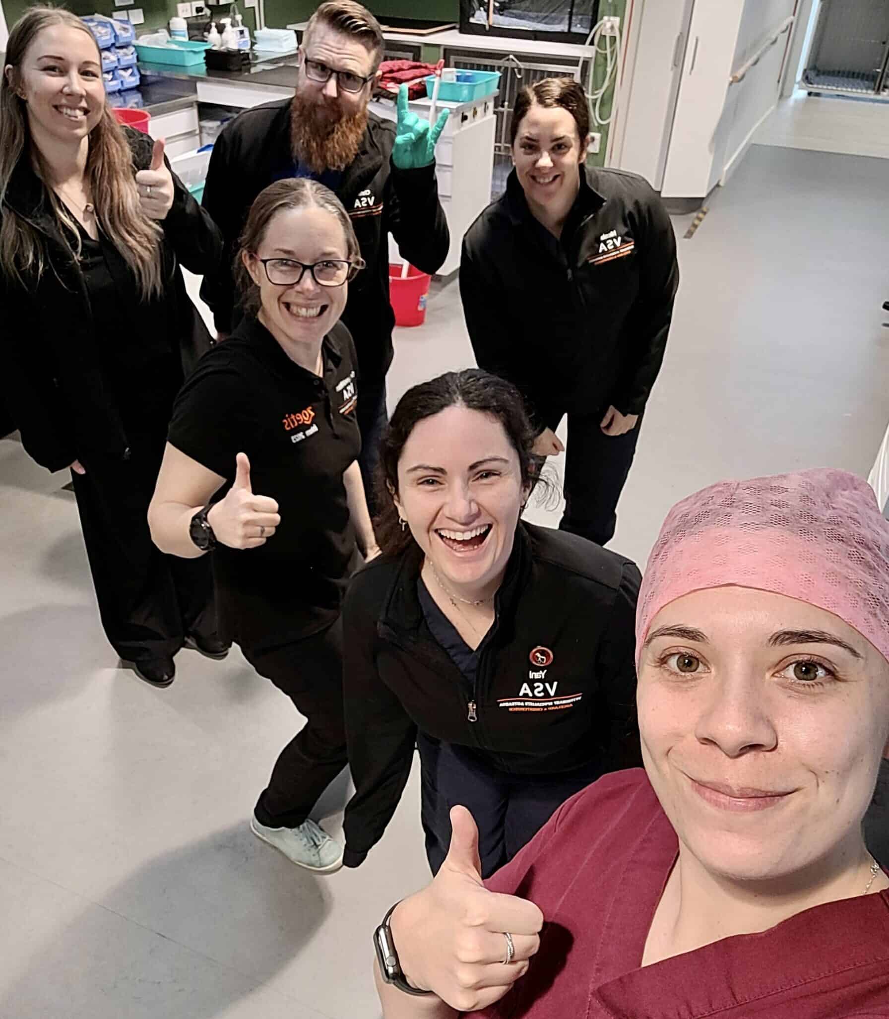 VSA Christchurch Veterinary Specialists Aotearoa specialist veterinary services in NZ