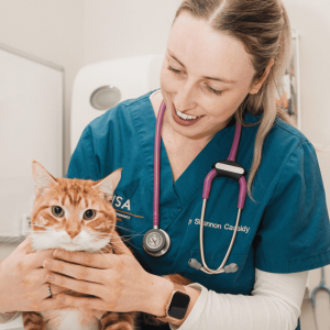 Dr Shannon Cassidy cat