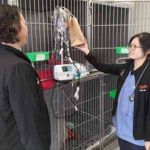 IMG20221123111537 (1)